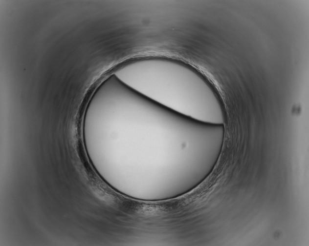 X0000100870487200806200906