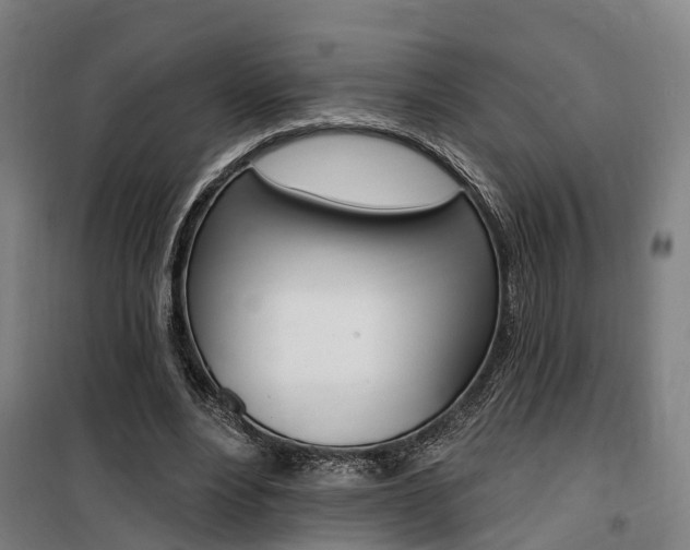 X0000100870488200806200906