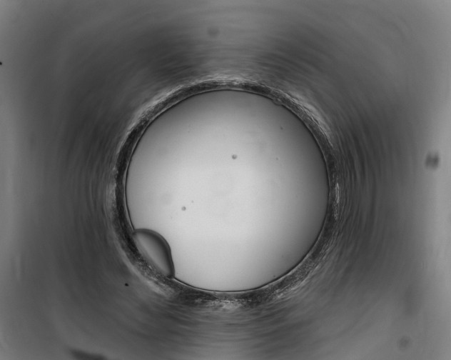 X0000100870492200806200906