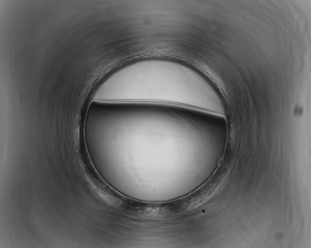 X0000100870493200806200906