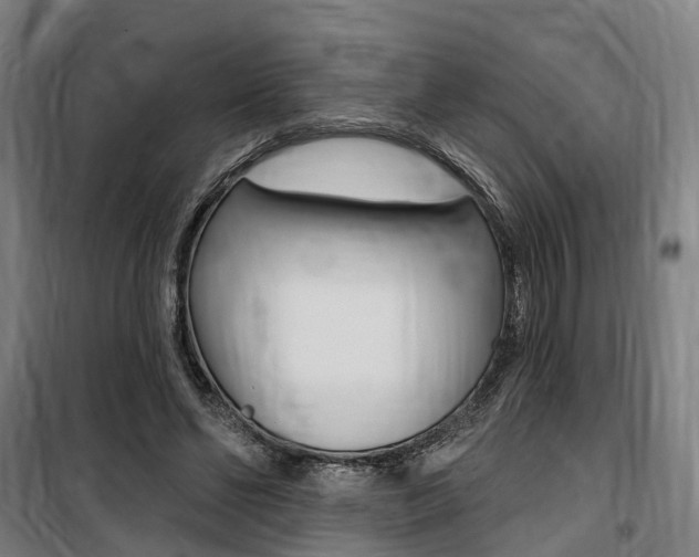 X0000100870494200806200906