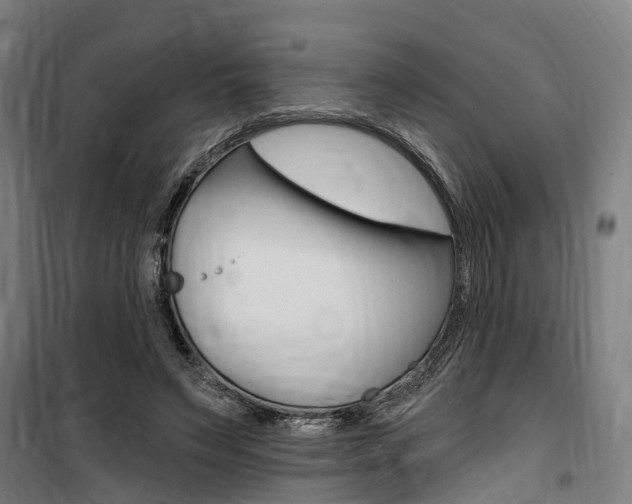 X0000100870495200806200906