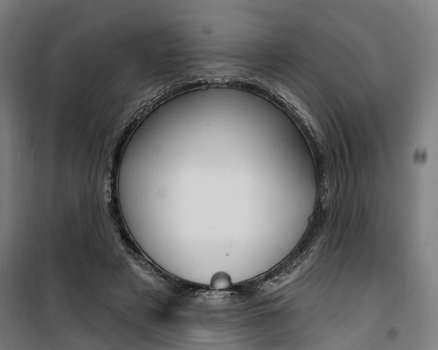 X0000100870497200806200906