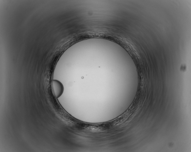 X0000100870498200806200906