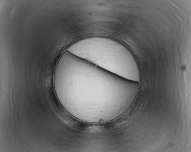 X0000100870499200806200906