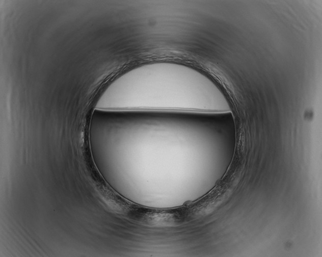 X0000100870501200806200906