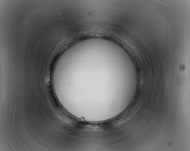 X0000100870502200806200906