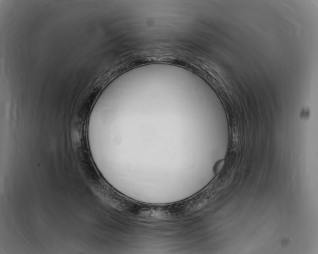 X0000100870503200806200906
