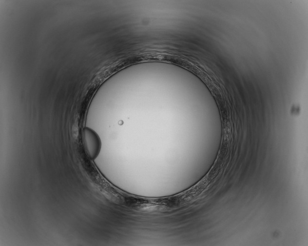 X0000100870504200806200906