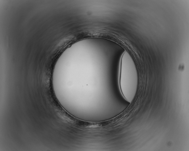 X0000100870505200806200906