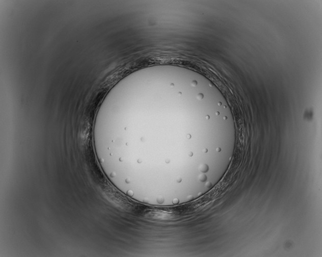 X0000100870507200806200906