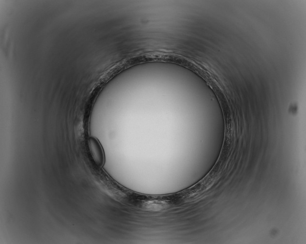 X0000100870508200806200906