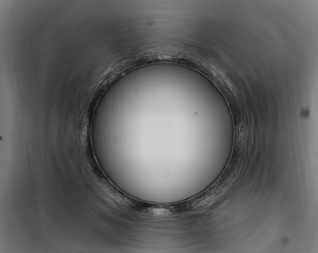X0000100870509200806200906