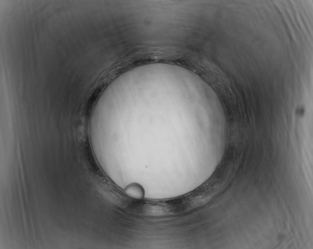 X0000100870510200806200906