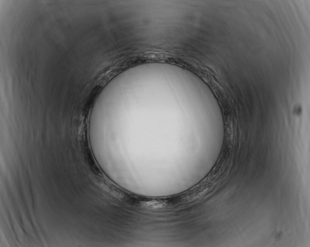 X0000100870511200806200906