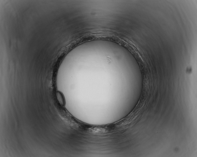 X0000100870512200806200906
