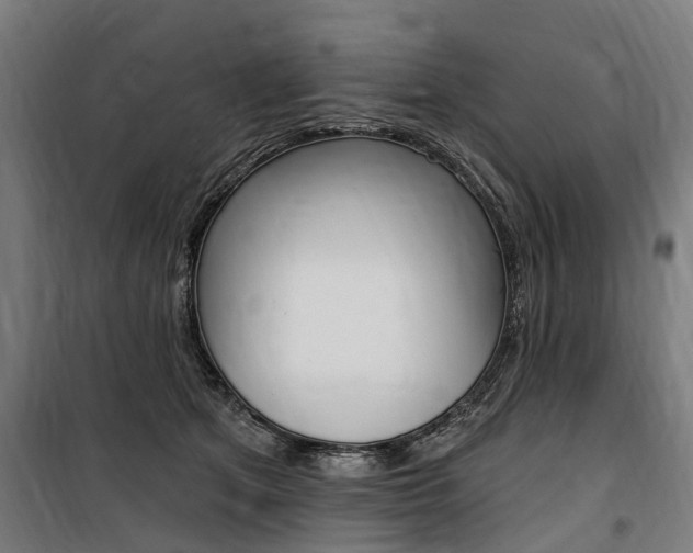 X0000100870513200806200906