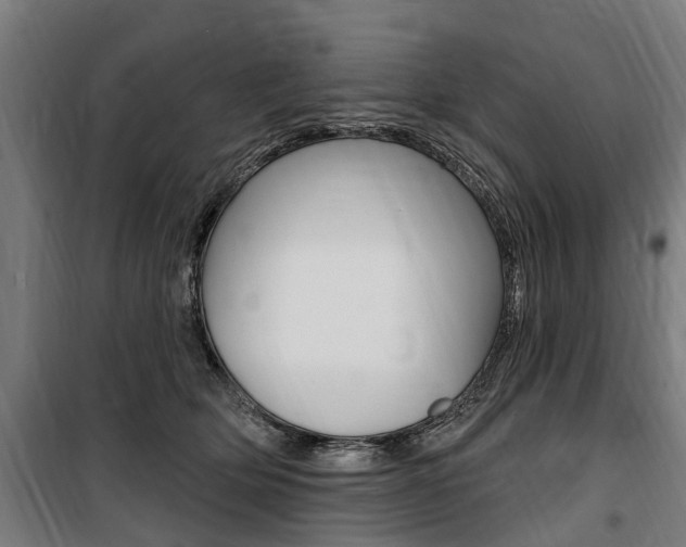 X0000100870514200806200906