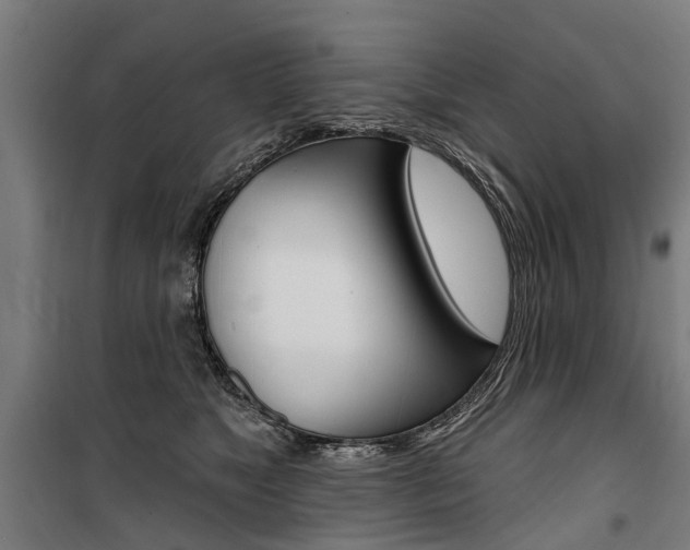 X0000100870517200806200906