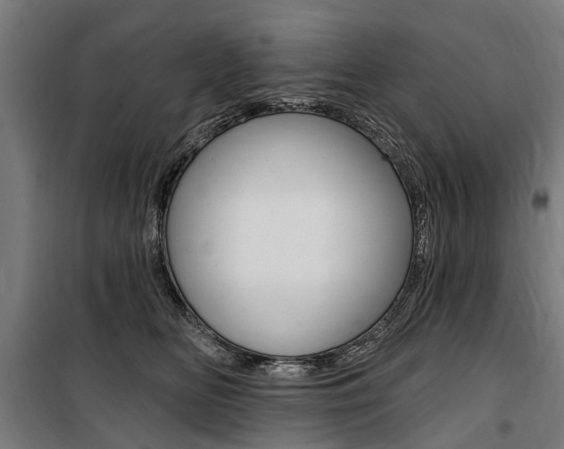 X0000100870518200806200906