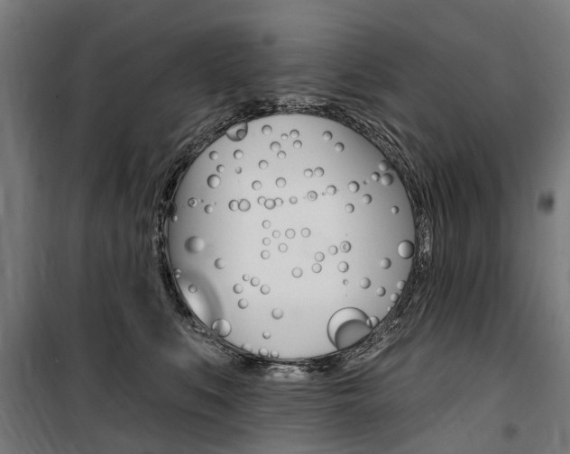 X0000100870519200806200906