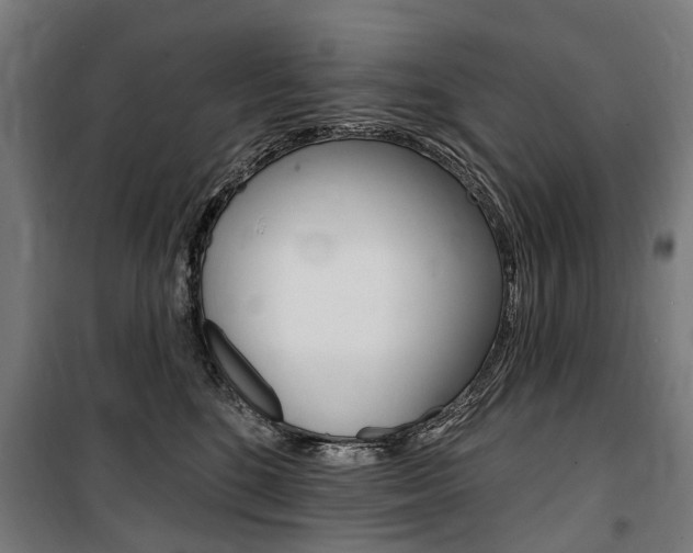 X0000100870520200806200906