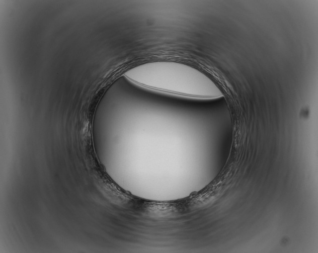 X0000100870521200806200906