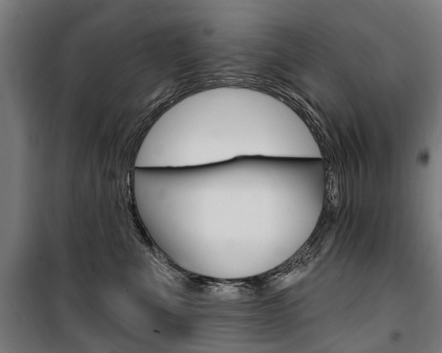 X0000100870523200806200906
