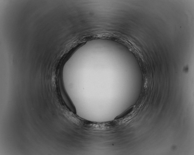 X0000100870524200806200906
