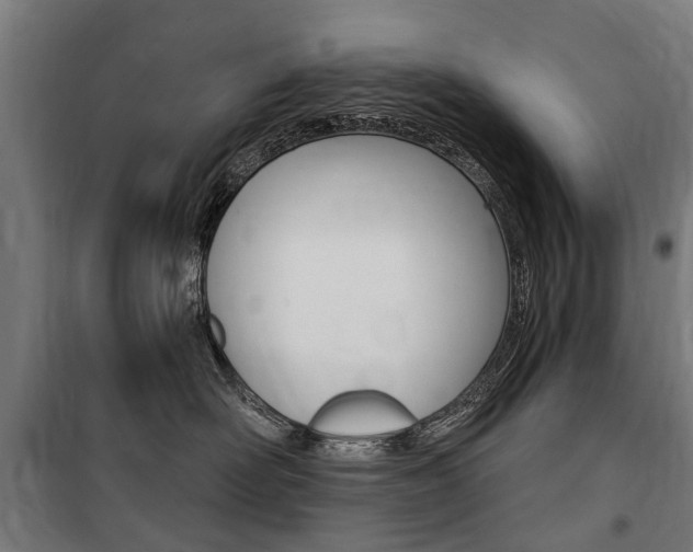 X0000100870526200806200906