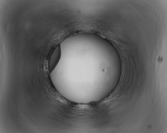 X0000100870528200806200906