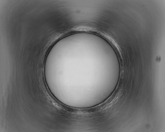 X0000100870529200806200905