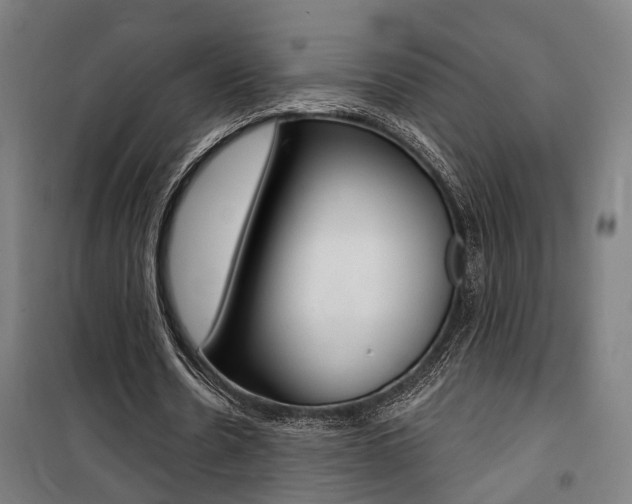 X0000100870530200806200905
