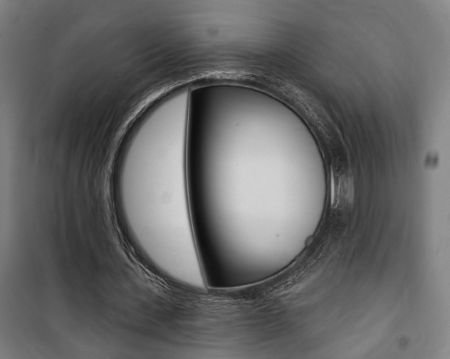 X0000100870531200806200905