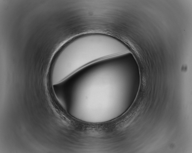 X0000100870532200806200905