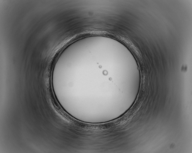 X0000100870533200806200905