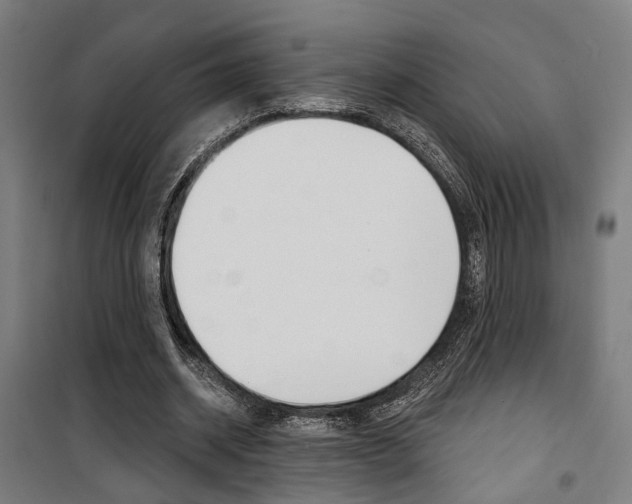 X0000100870534200806200905