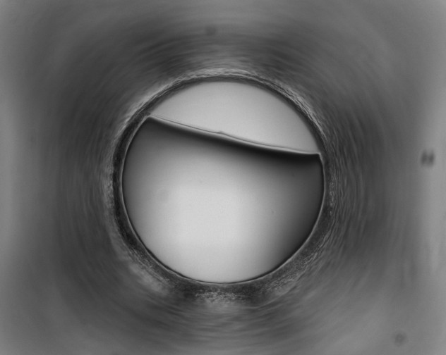X0000100870535200806200905