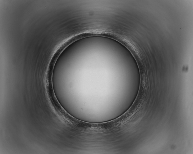 X0000100870536200806200905
