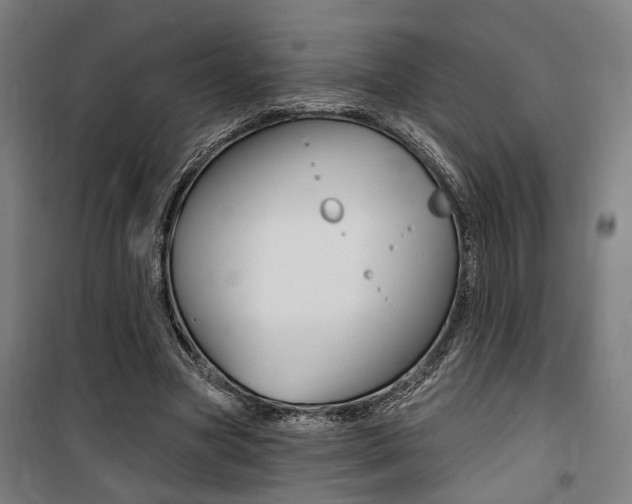 X0000100870537200806200905