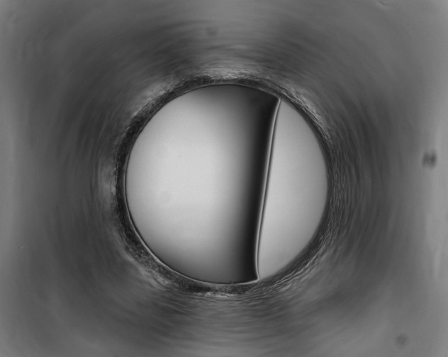 X0000100870539200806200905