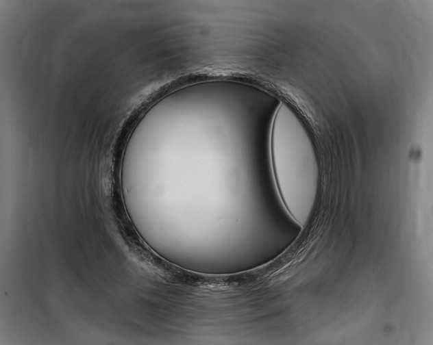 X0000100870540200806200905