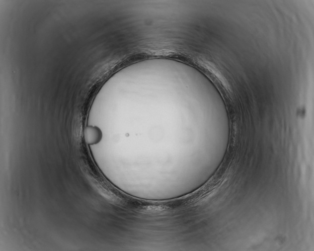 X0000100870541200806200905