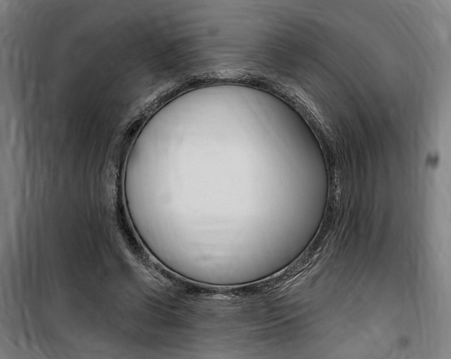 X0000100870542200806200905