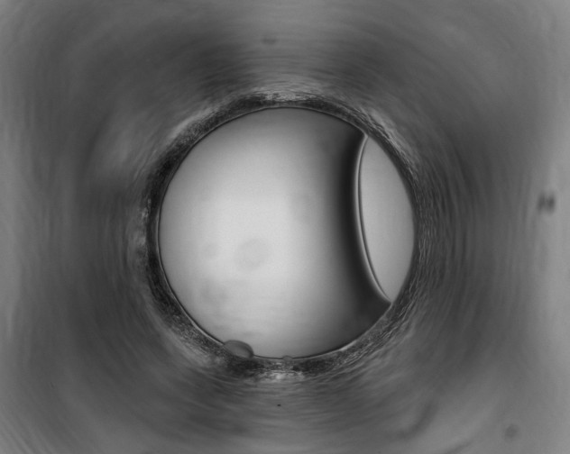 X0000100870543200806200905