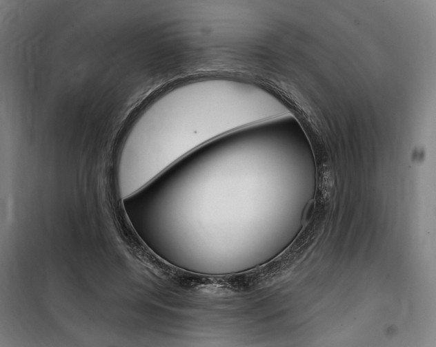 X0000100870544200806200905
