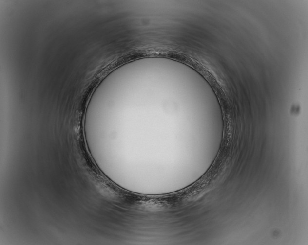 X0000100870545200806200905