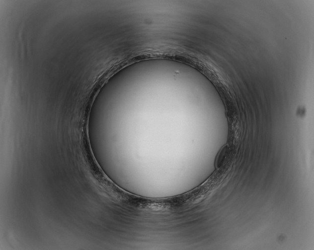 X0000100870546200806200905