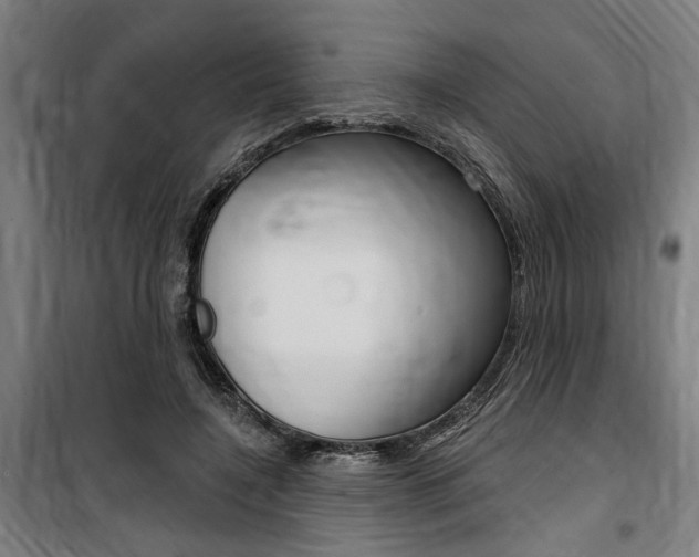 X0000100870548200806200905