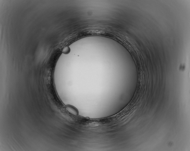 X0000100870551200806200905